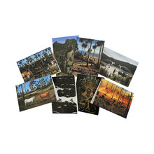 Load image into Gallery viewer, Images of animals and scenery.