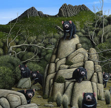 Load image into Gallery viewer, Tasmanian devils sitting in the bush and on rocks.