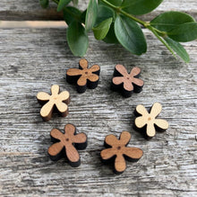 Load image into Gallery viewer, Tassie Dazzle – flower stud earrings