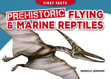 Load image into Gallery viewer, Illustrated dinosaur.