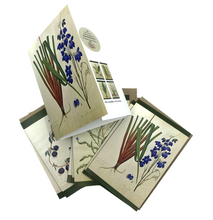 Load image into Gallery viewer, Images of WB Gould watercolour on paper cards.