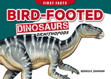 Load image into Gallery viewer, Illustrated dinosaur.