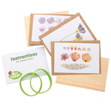 Load image into Gallery viewer, Cardboard with paper and pressed flowers.