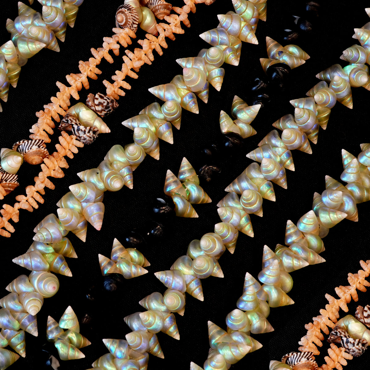 Tasmanian Aboriginal Shell Jewellery – QVMAG Shop