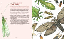 Load image into Gallery viewer, Illustrated book open to a page about insects with text on the left and insect illustrations on the right.
