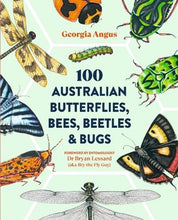 Load image into Gallery viewer, Book cover of '100 Australian Butterflies, Bees, Beetles &amp; Bugs' by Georgia Angus with illustrations of various insects on a light green background.

