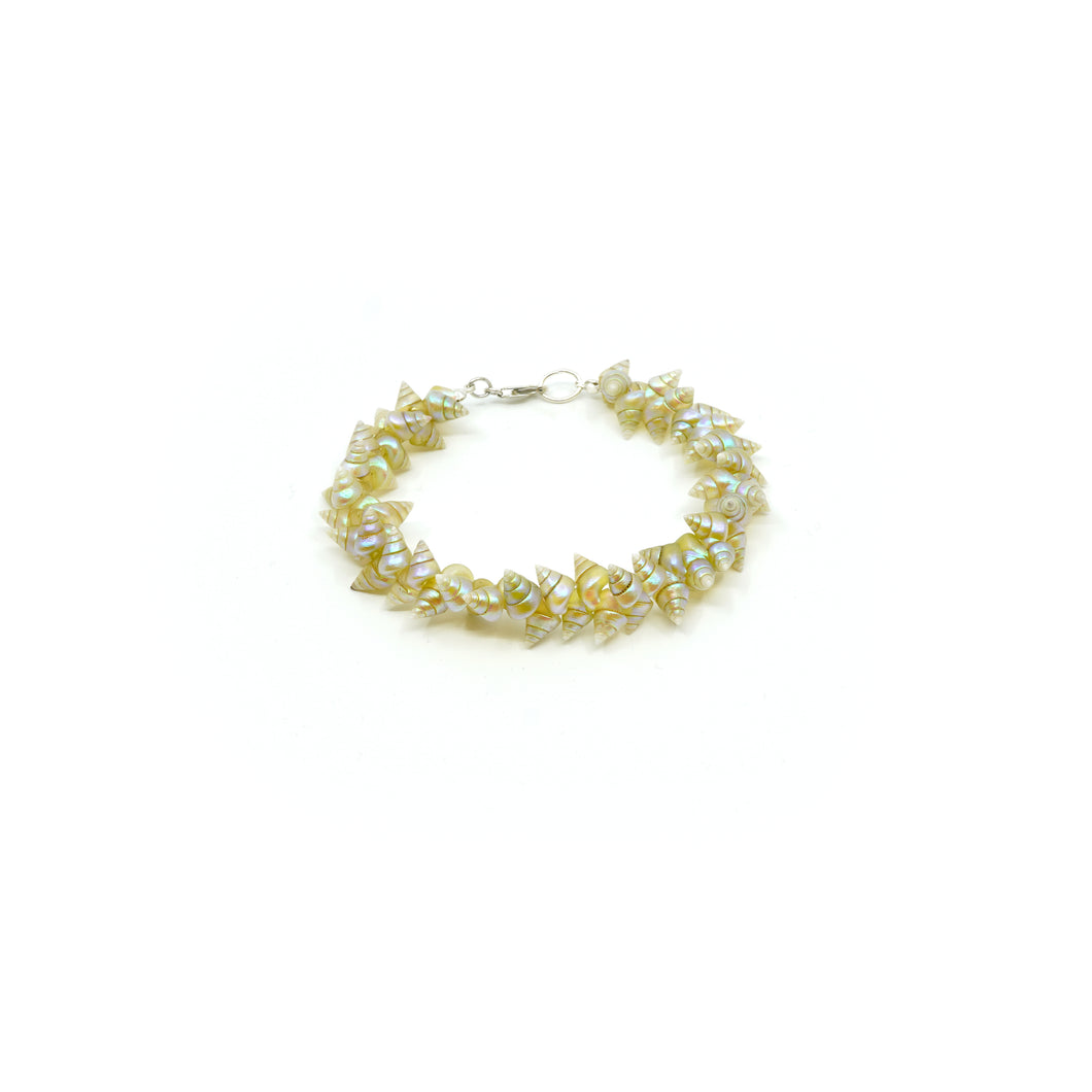 Maireener shell bracelet with silver clasp
