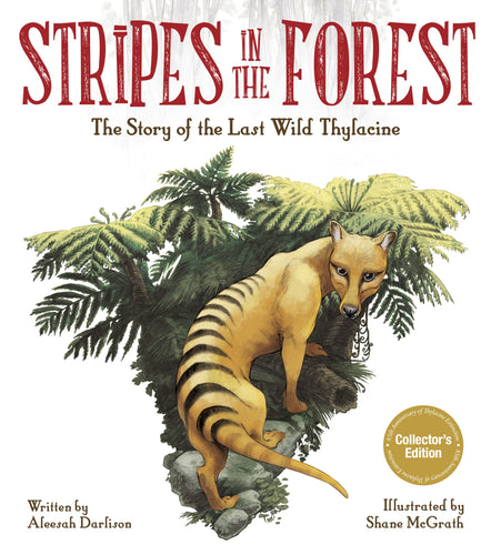 Cover of the children's book 'Stripes in the Forest' featuring an illustration of a thylacine, a type of wild dog, in a forest environment. The book is labeled as a 'Collector's Edition' and indicates it was written by Alison Darlin and illustrated by Shane McGrath.