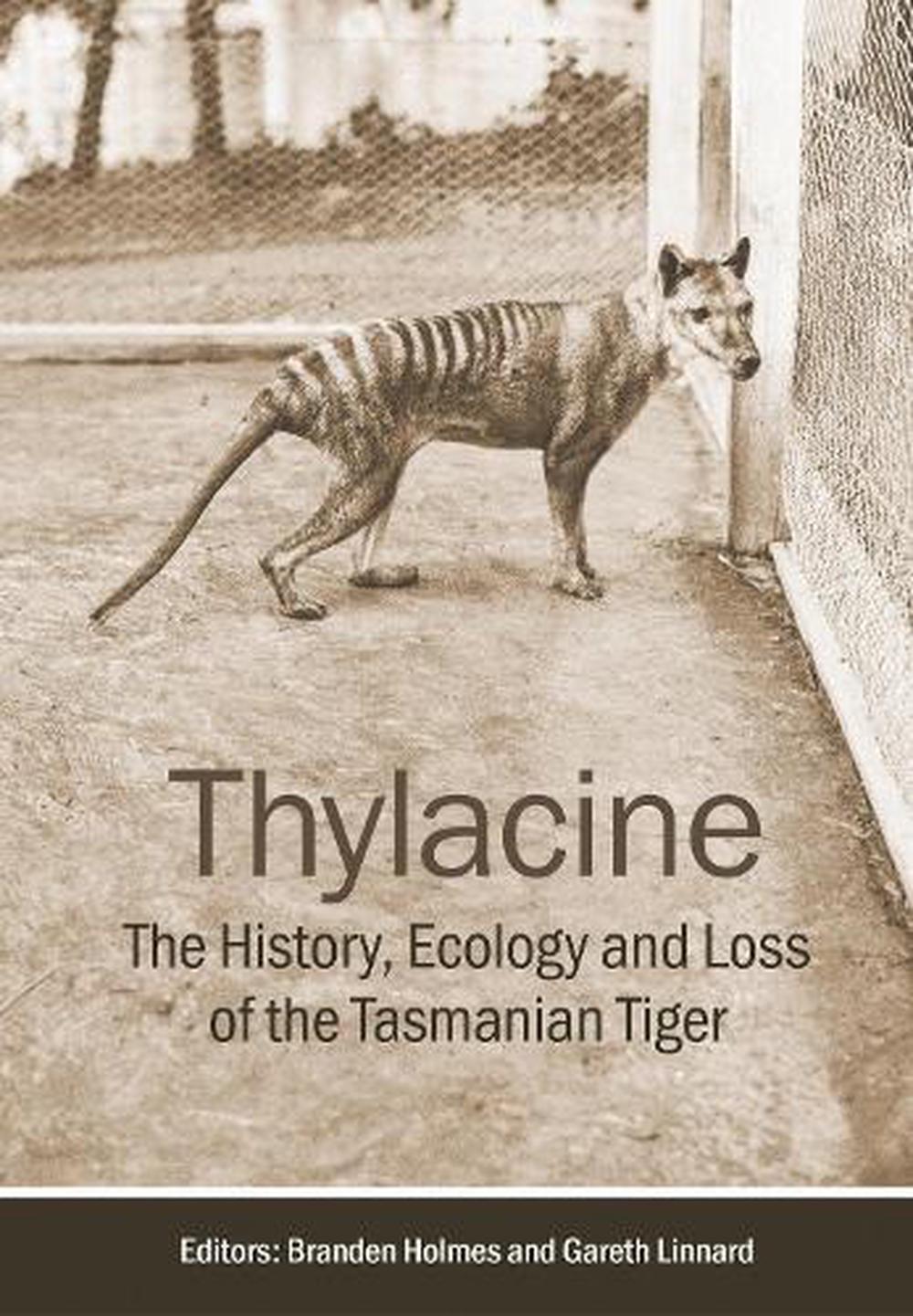 A photograph of a Thylacine at Beaumaris Zoo, 1936.
