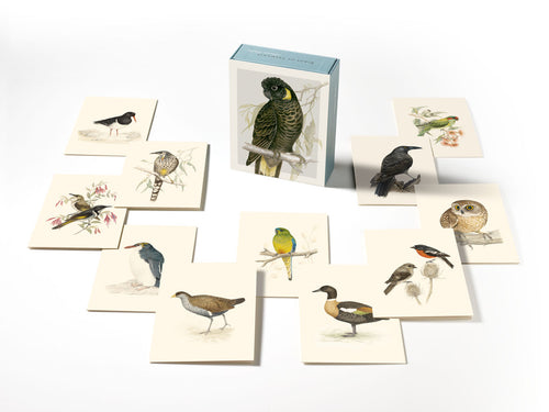 Photograph of ten bird cards and a box with  Yellow Tailed Black Cockatoo on the front.