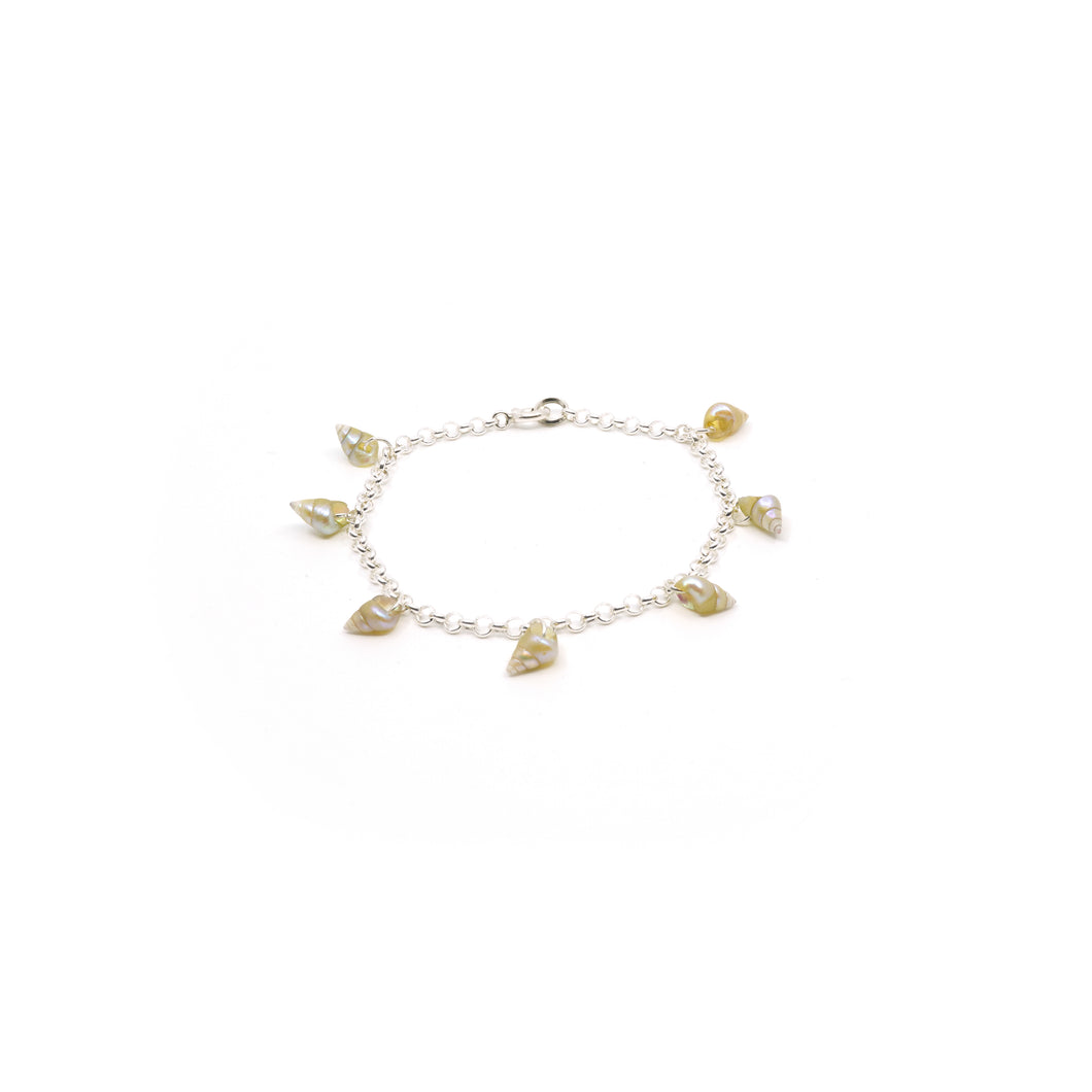 Maireener shells and silver chain bracelet.