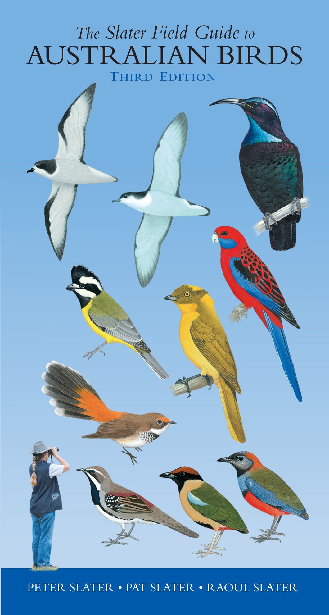 Illustrations of various colourful birds.