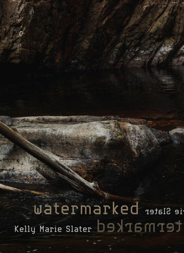 Photogragh of river rocks and tree branches in  river.