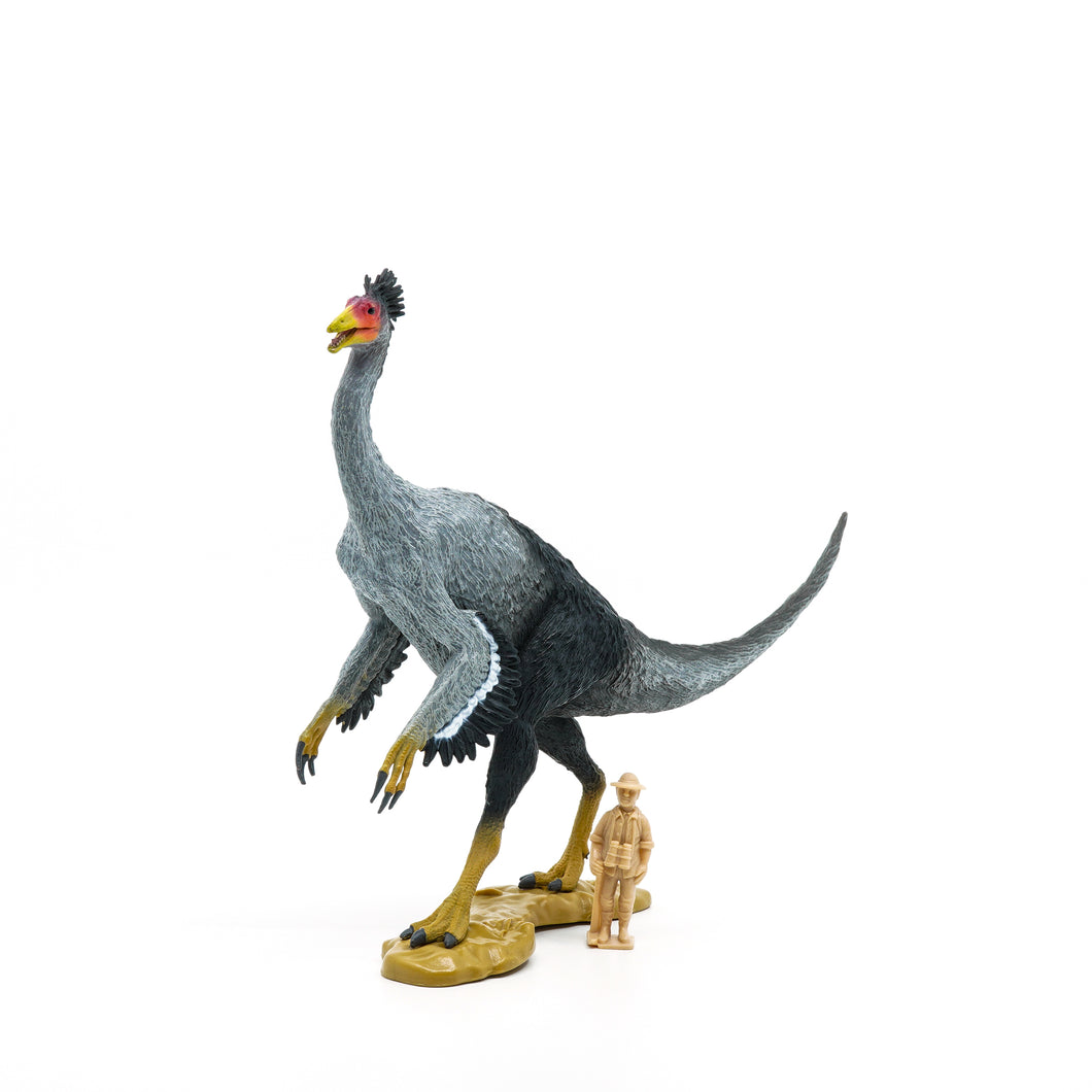Feathered prehistoric birdlike model with model of man for scale reference