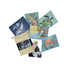 Load image into Gallery viewer, Illustrations of ocean creatures on cards.
