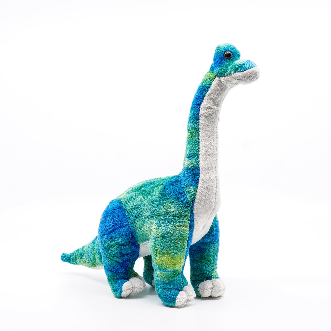 Green and blue long neck plush dinosaur.