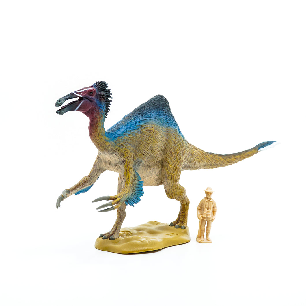 Feathered prehistoric birdlike model with model of man for scale reference