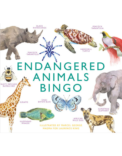 Illustrations of endangered animals.
