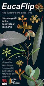 Photographic reference of eucalypts including leaves, seeds and bark of different Tasmanian eucalypts.