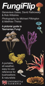 Colourful Tasmanian Fungi