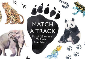Colourful pictures of an elephant, panda, leopard, lizard and frog, with a large black paw print.