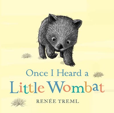 Illustrated baby wombat.