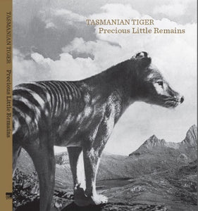 Tasmanian Thylacine over looking Cradle Mountain.
