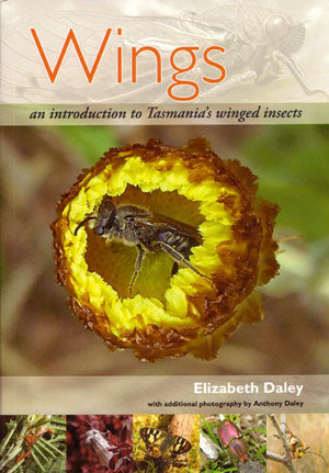 Wings: an introduction to Tasmania's winged insects