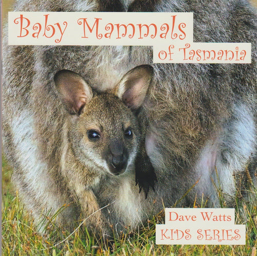 A photographic children‘s book of Tasmanian baby mammals 