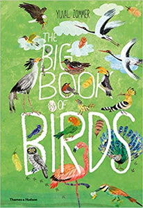 Illustrated flying birds on green background.