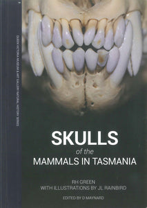 Tasmanian Devil skull.