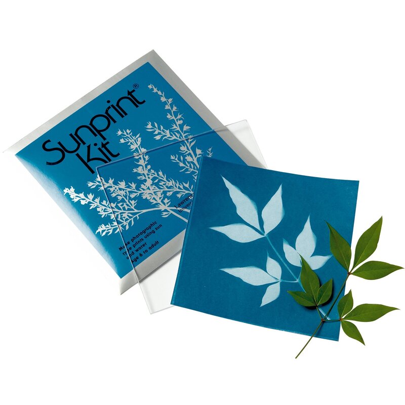 Blue photographic paper with leaf image and green leaf.