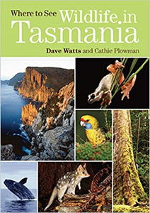 Where to See Wildlife in Tasmania